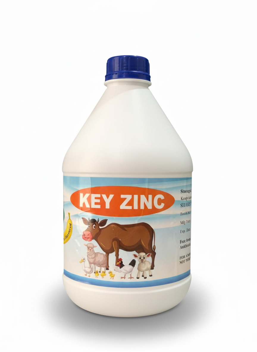 Key Zinc